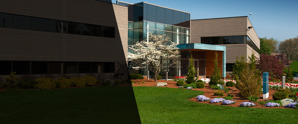 Stem Landscapers